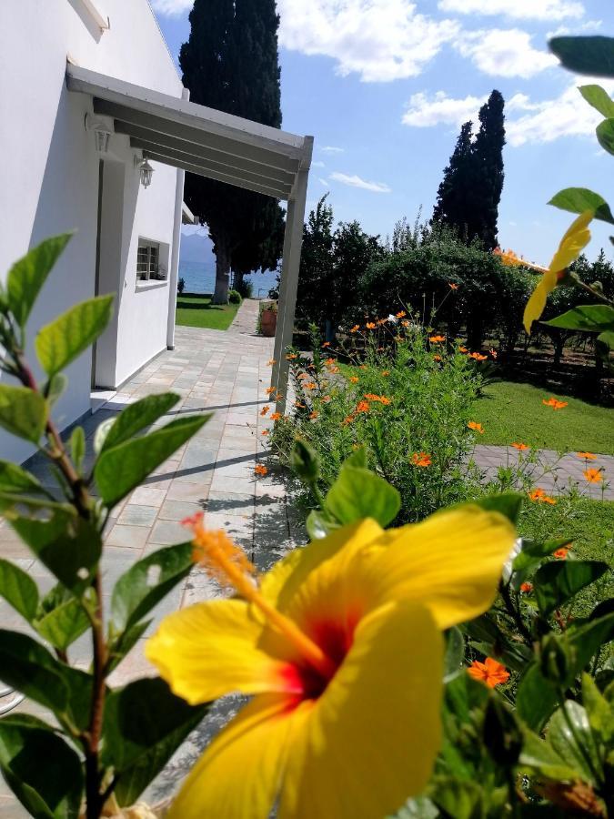 Villa Maria Epidaurus Екстер'єр фото
